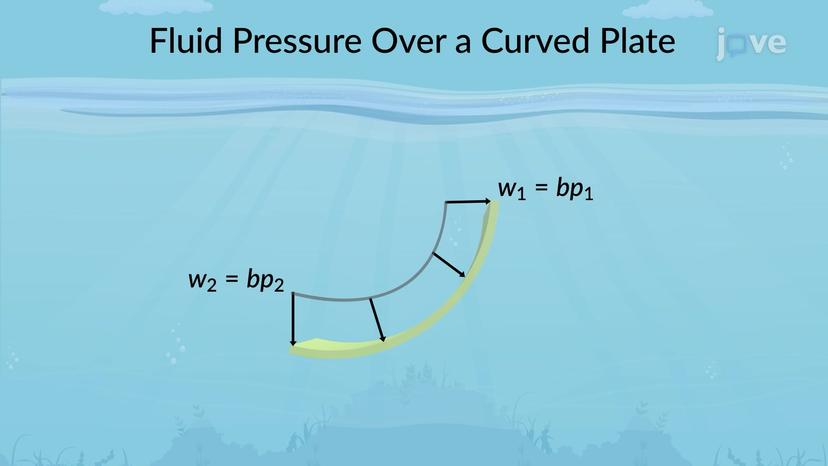 Fluid Pressure over Curved Plate of Constant Width