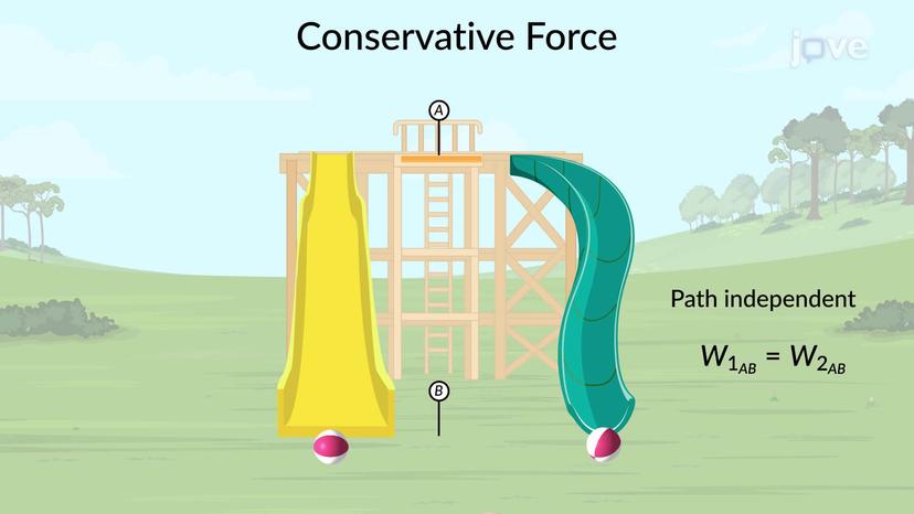 Conservative Forces