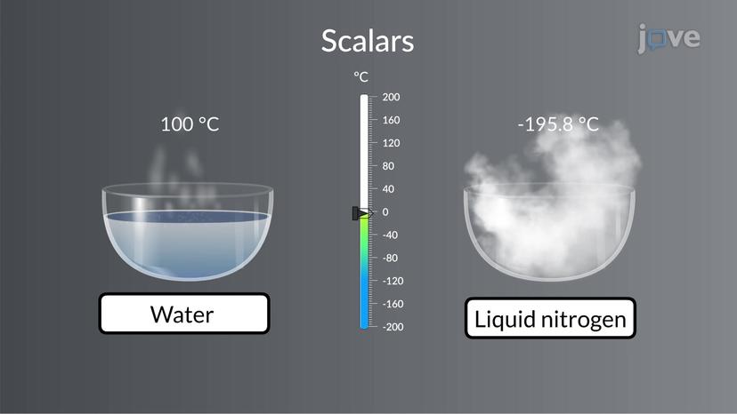 Scalar and Vectors