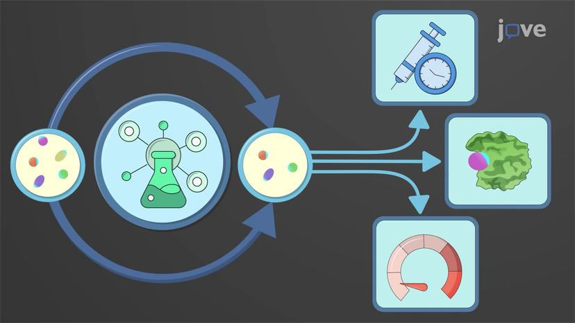 Drug Discovery: Overview