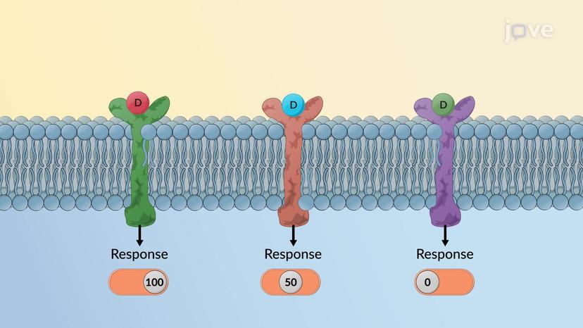 Drug-Receptor Interactions