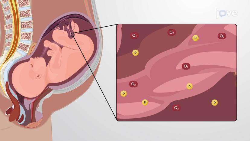 Factors Affecting Drug Response: Overview