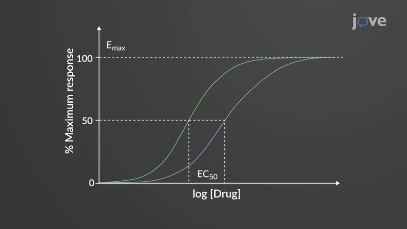 Dose-Response Relationship: Potency and Efficacy