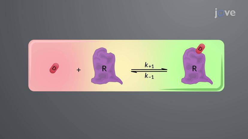 Quantitative Aspects of Drug-Receptor Interaction