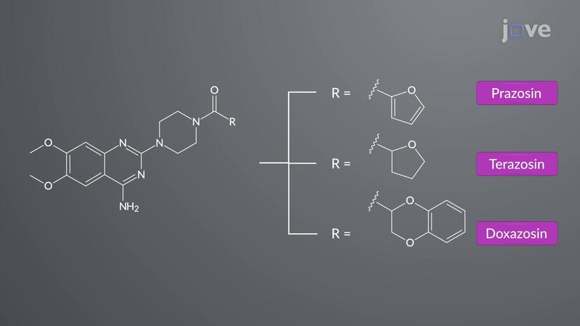 JoVE Science Education > Drugs Acting on Autonomic Nervous System:  Adrenergic Agonists and Antagonists Agents