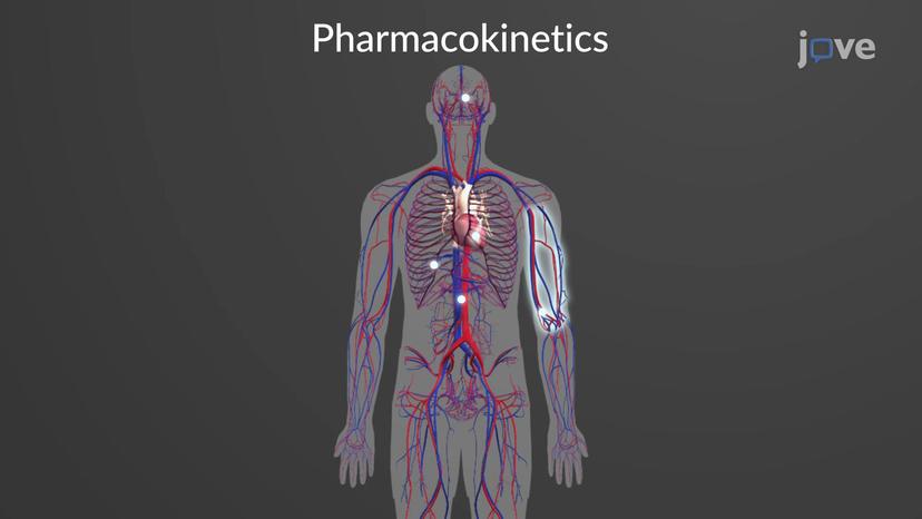 Local Anesthetics: Pharmacokinetics