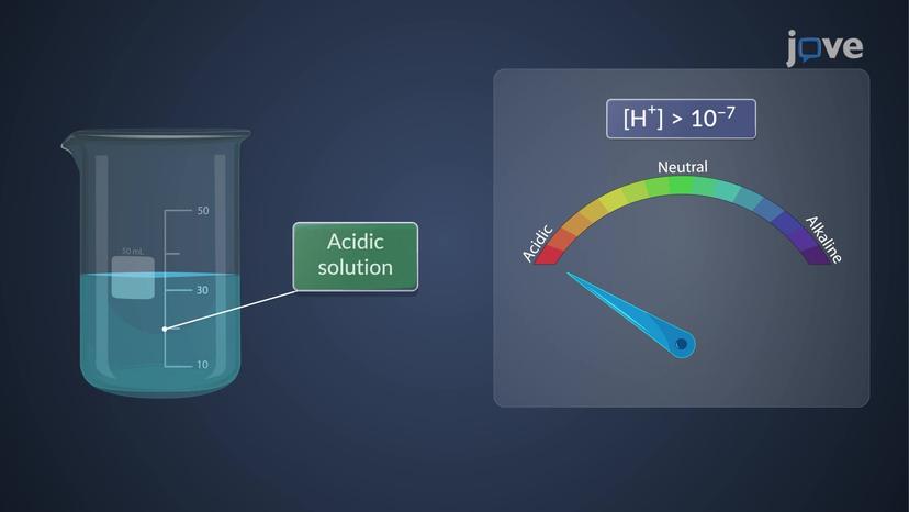 Solubility Equilibria: Ionic Product of Water