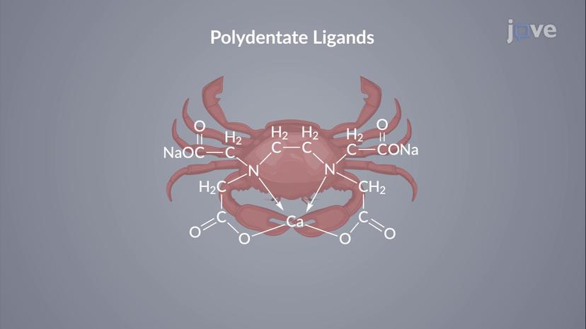 Complexation Equilibria: The Chelate Effect