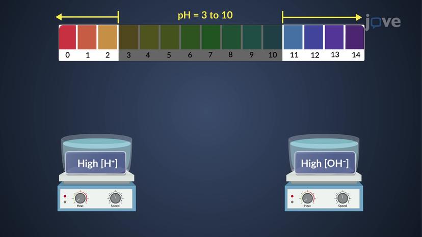 Buffers: Buffer Capacity