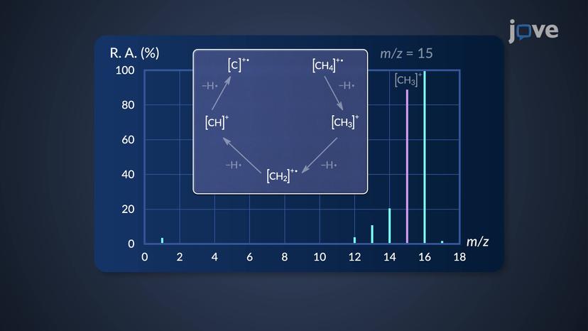 Mass Spectrum: Interpretation