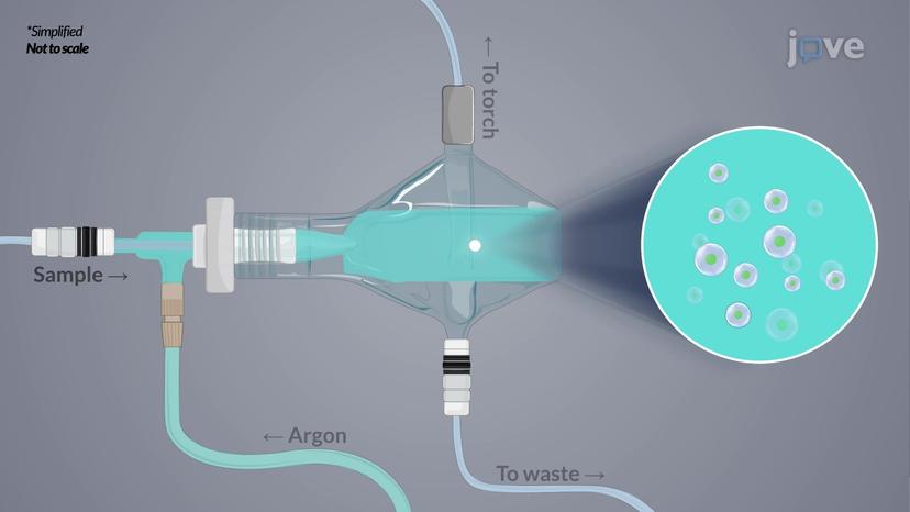 Inductively Coupled Plasma&#8211;Mass Spectrometry (ICP&#8211;MS): Overview