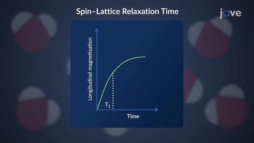 Atomic Nuclei: Types of Nuclear Relaxation