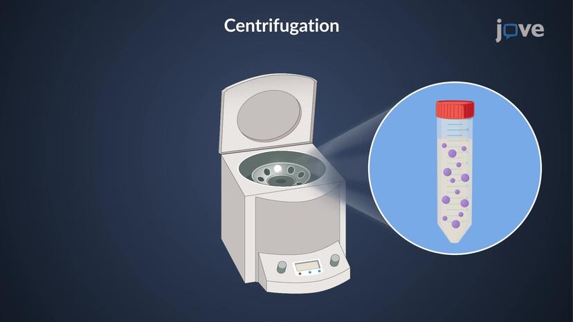 Centrifugation