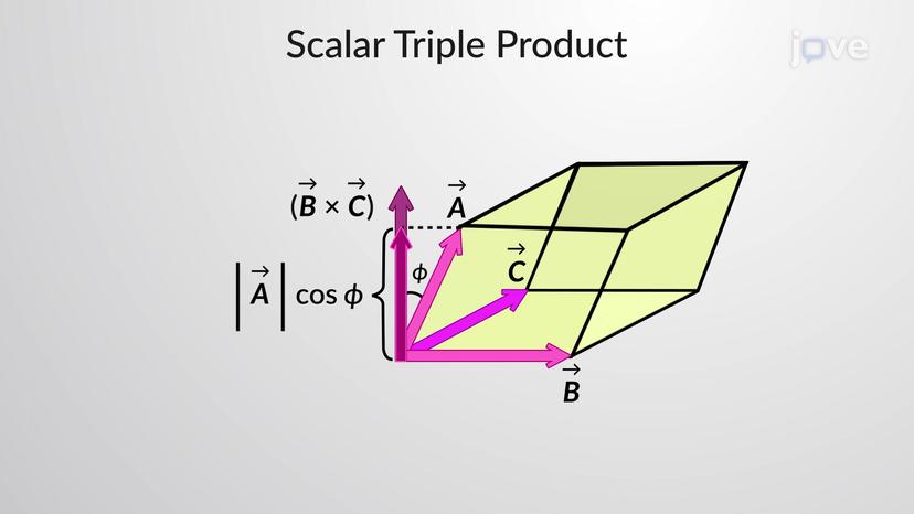 Scalar and Vector Triple Products