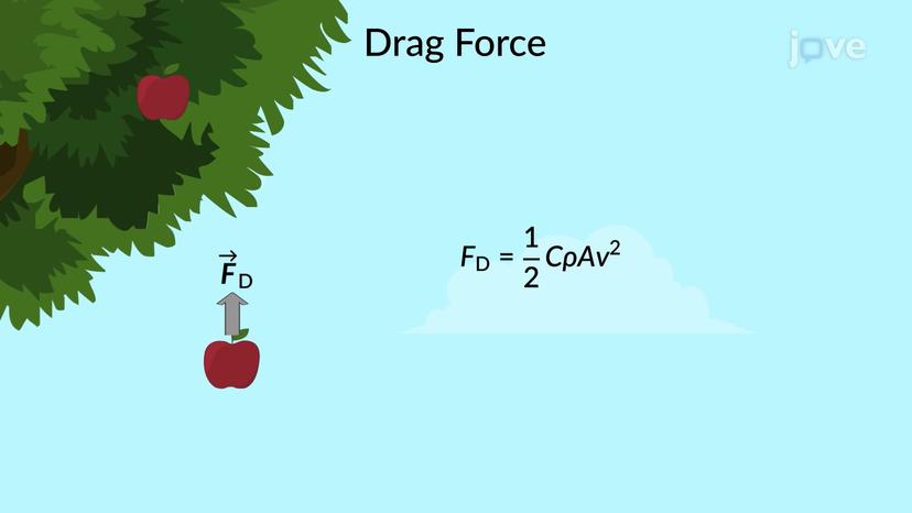 Drag Force and Terminal Speed