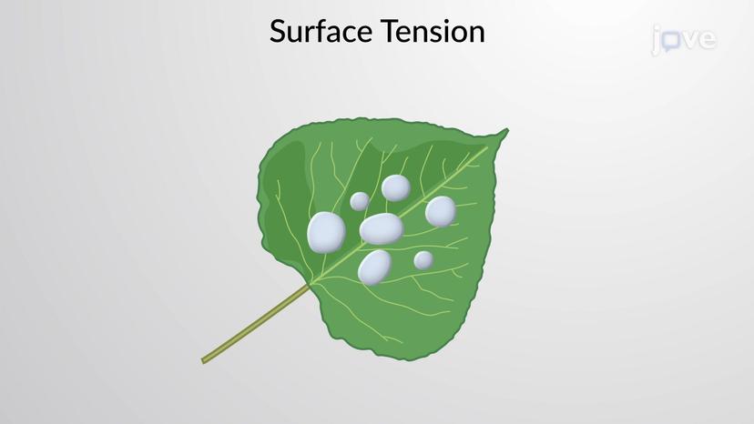 Surface Tension and Surface Energy