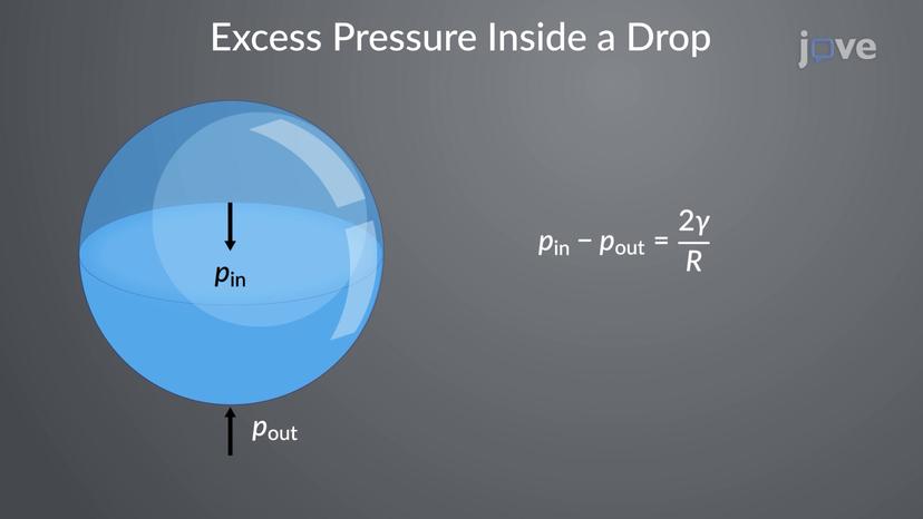 Excess Pressure Inside a Drop and a Bubble