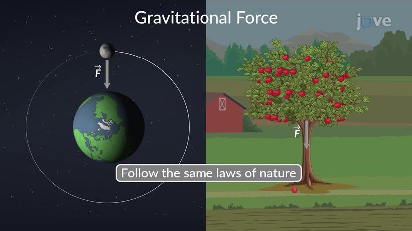 Gravitational Force