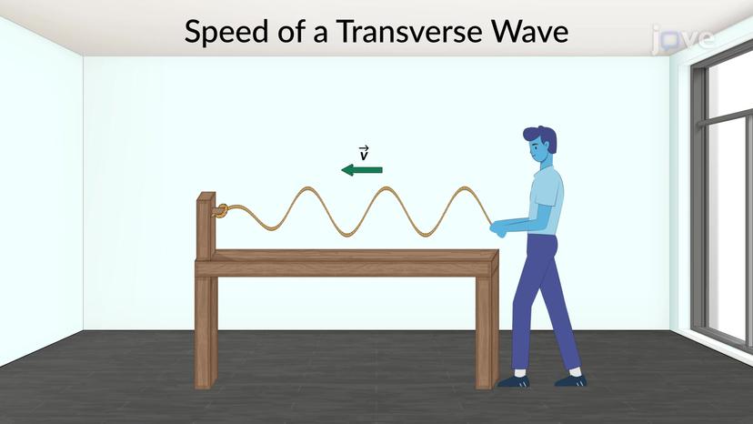 Speed of a Transverse Wave