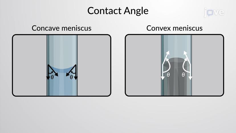 Contact Angle