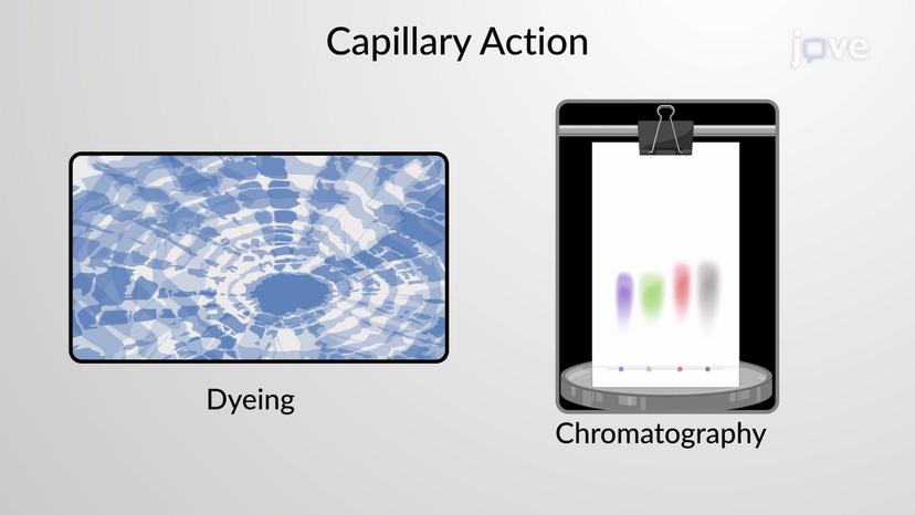 Rise of Liquid in a Capillary Tube