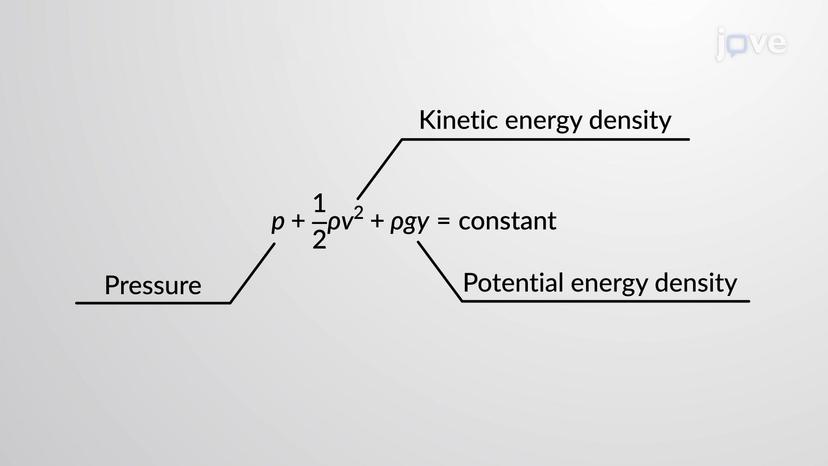 Energy Conservation and Bernoulli's Equation