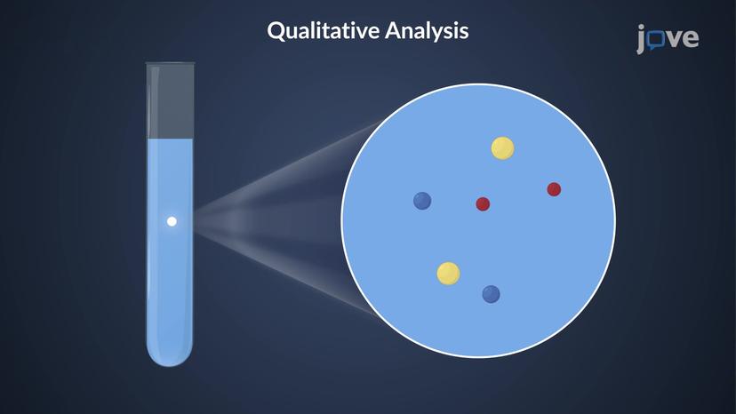 Qualitative Analysis