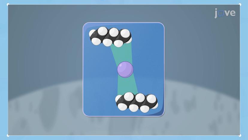 Analyte Adsorption and Distribution