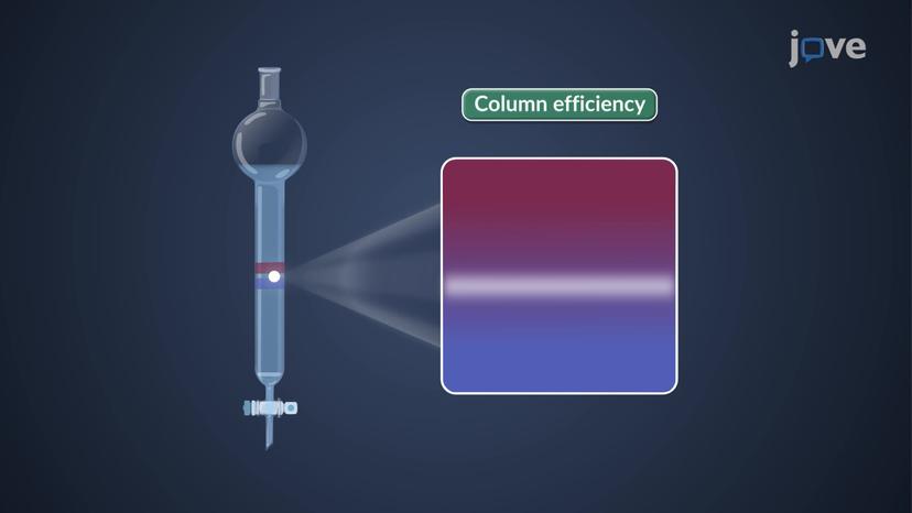 Column Efficiency: Plate Theory