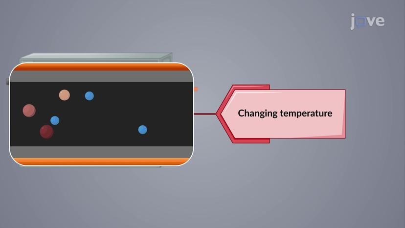 Optimizing Chromatographic Separations