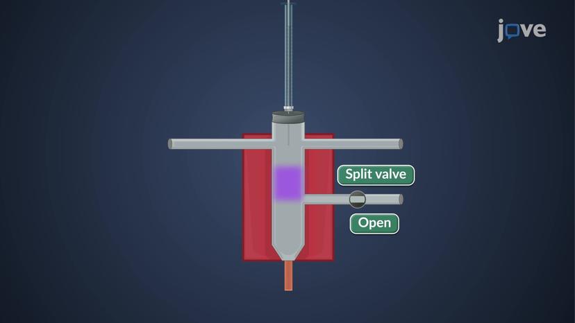 Gas Chromatography: Sample Injection Systems