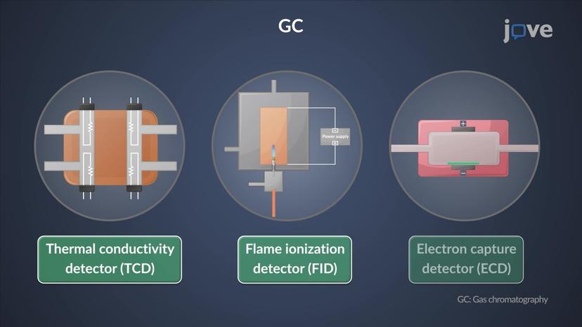 Gas Chromatography: Overview of Detectors