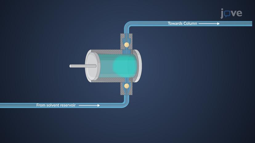 High-Performance Liquid Chromatography: Elution Process