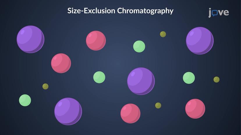 Size-Exclusion Chromatography