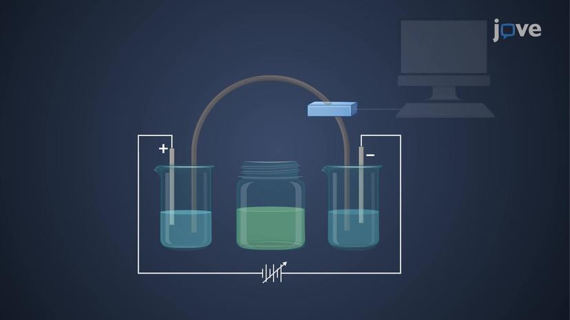 Capillary Electrophoresis: Instrumentation