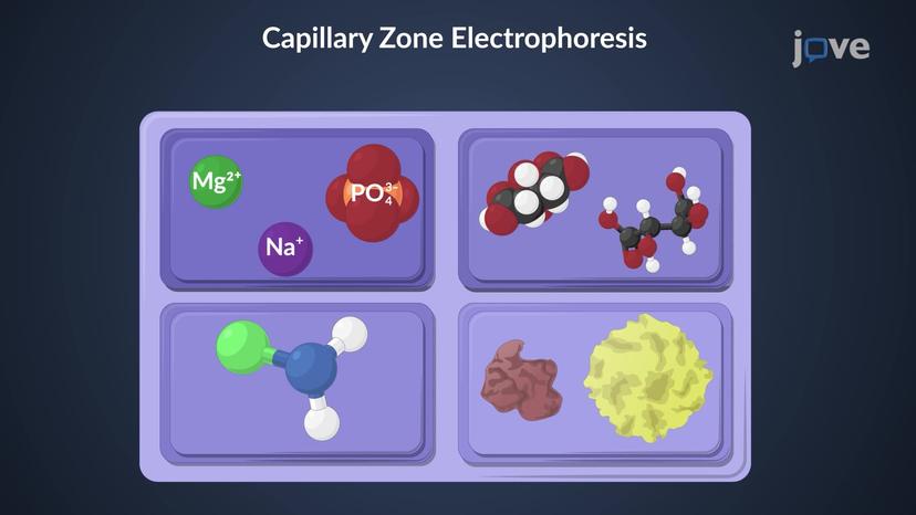 Capillary Electrophoresis: Applications