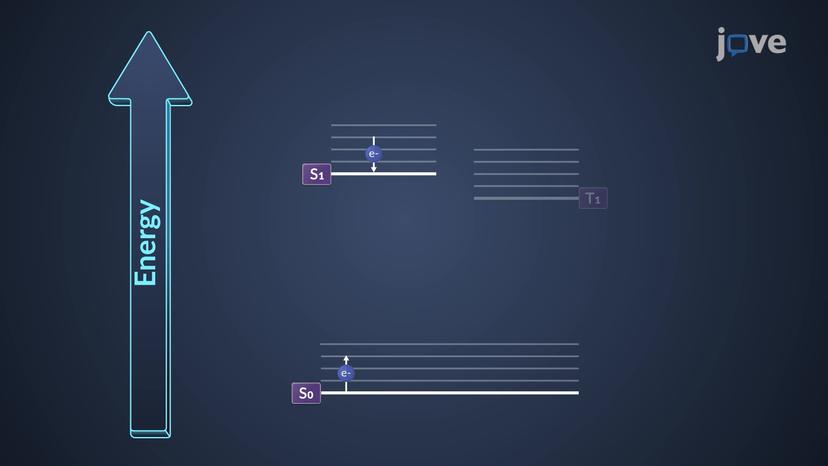 Deactivation Processes: Jablonski Diagram