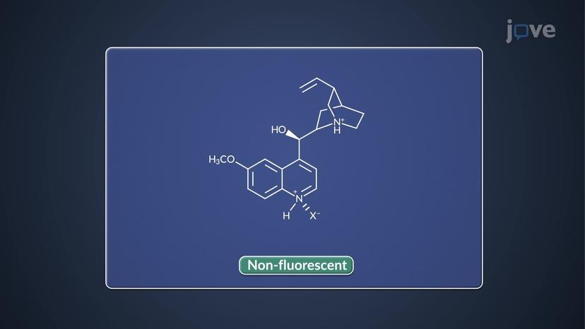 Photoluminescence: Applications