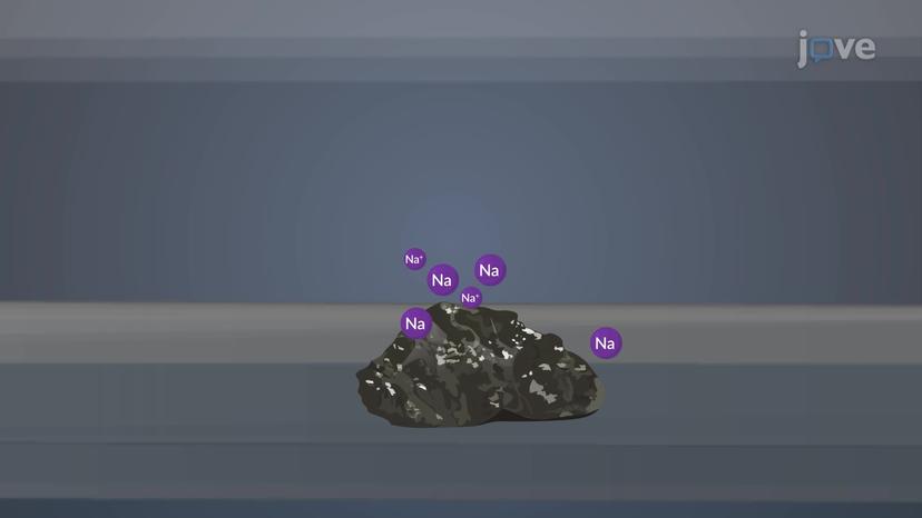 Atomic Absorption Spectroscopy: Atomization Methods