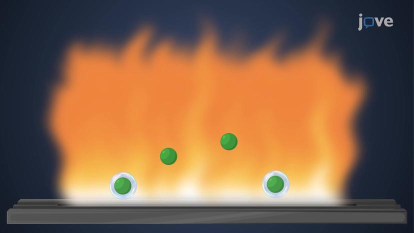 Flame Photometry: Lab