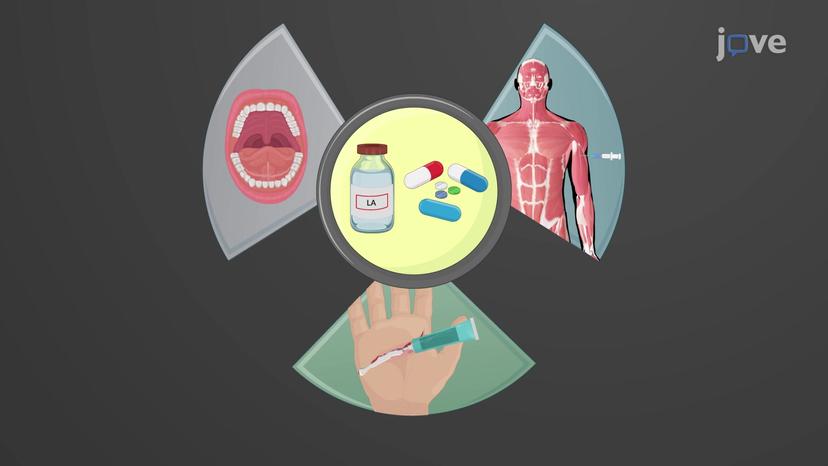 Routes of Drug Administration: Overview