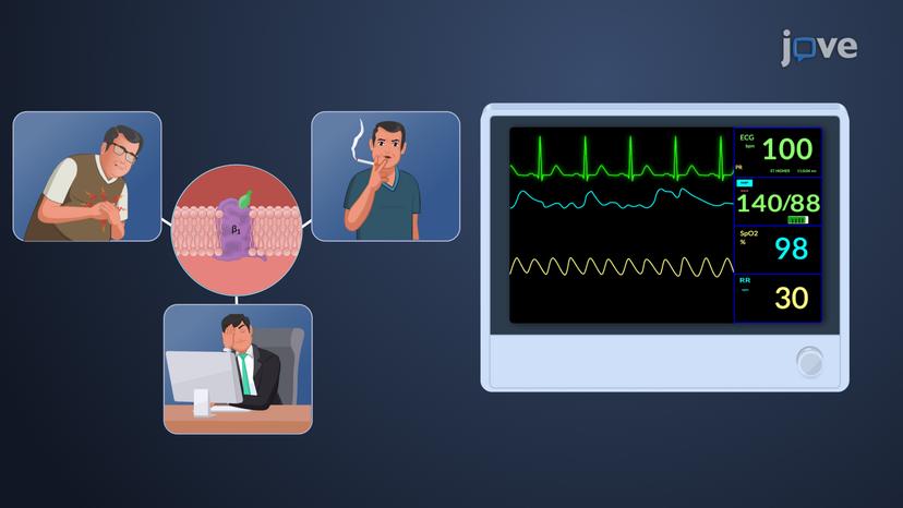 Antihypertensive Drugs: Action of &#946;<sub>1</sub> Blockers