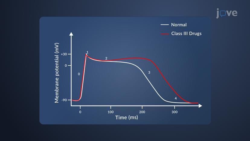 Antiarrhythmic Drugs: Class III Agents as Potassium Channel Blockers