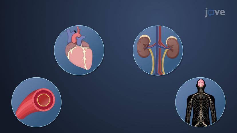 Pathophysiology of Heart Failure