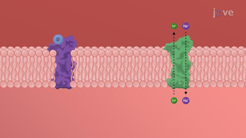 Heart Failure Drugs: Inotropic Agents