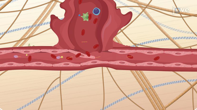 Anticoagulant Drugs: Low-Molecular-Weight Heparins