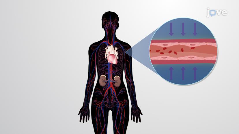 Cardiovascular Drugs: Classification based on Therapeutic Indications