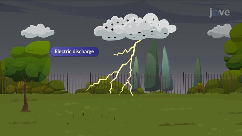 Charge and Current