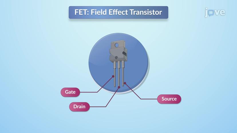 Field Effect Transistor