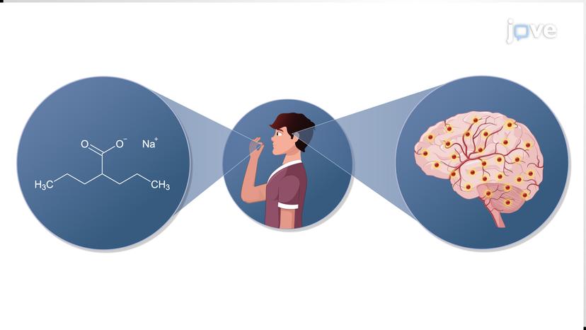 Antiepileptic Drugs: GABAergic Pathway Potentiators